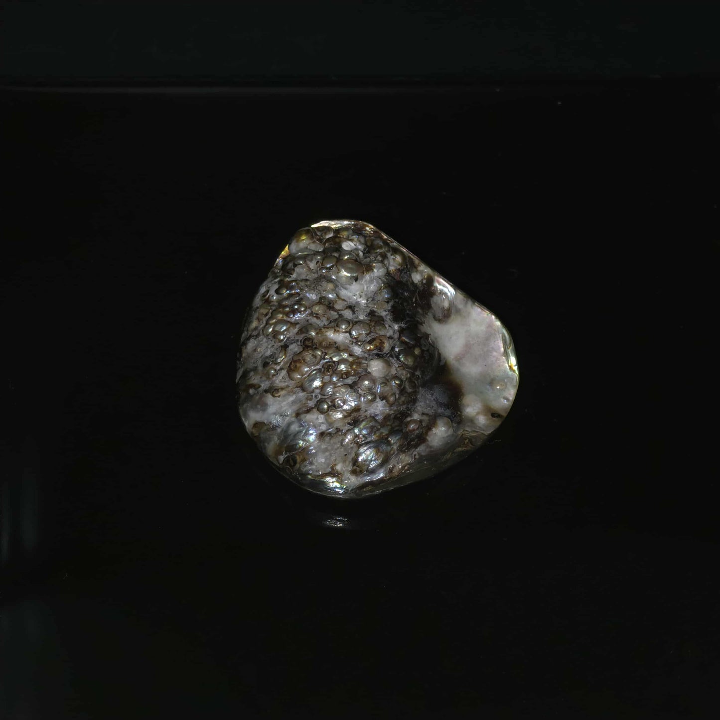 Wild Pāua Pearl Mabē