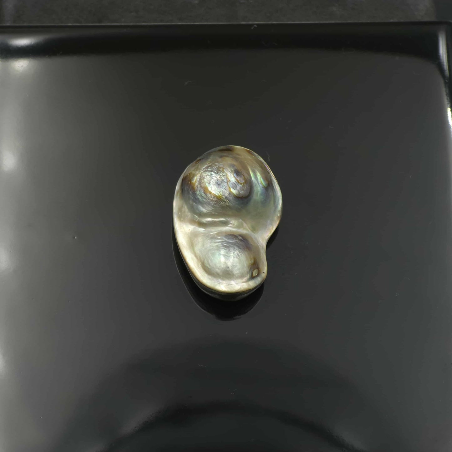 Wild Pāua Pearl Mabē