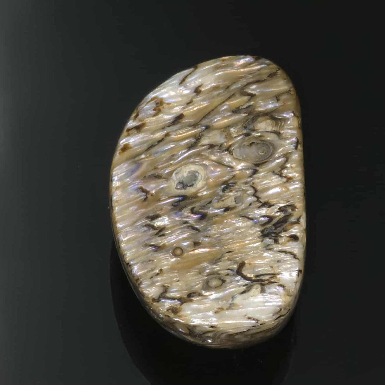 Wild Pāua Pearl Mabē