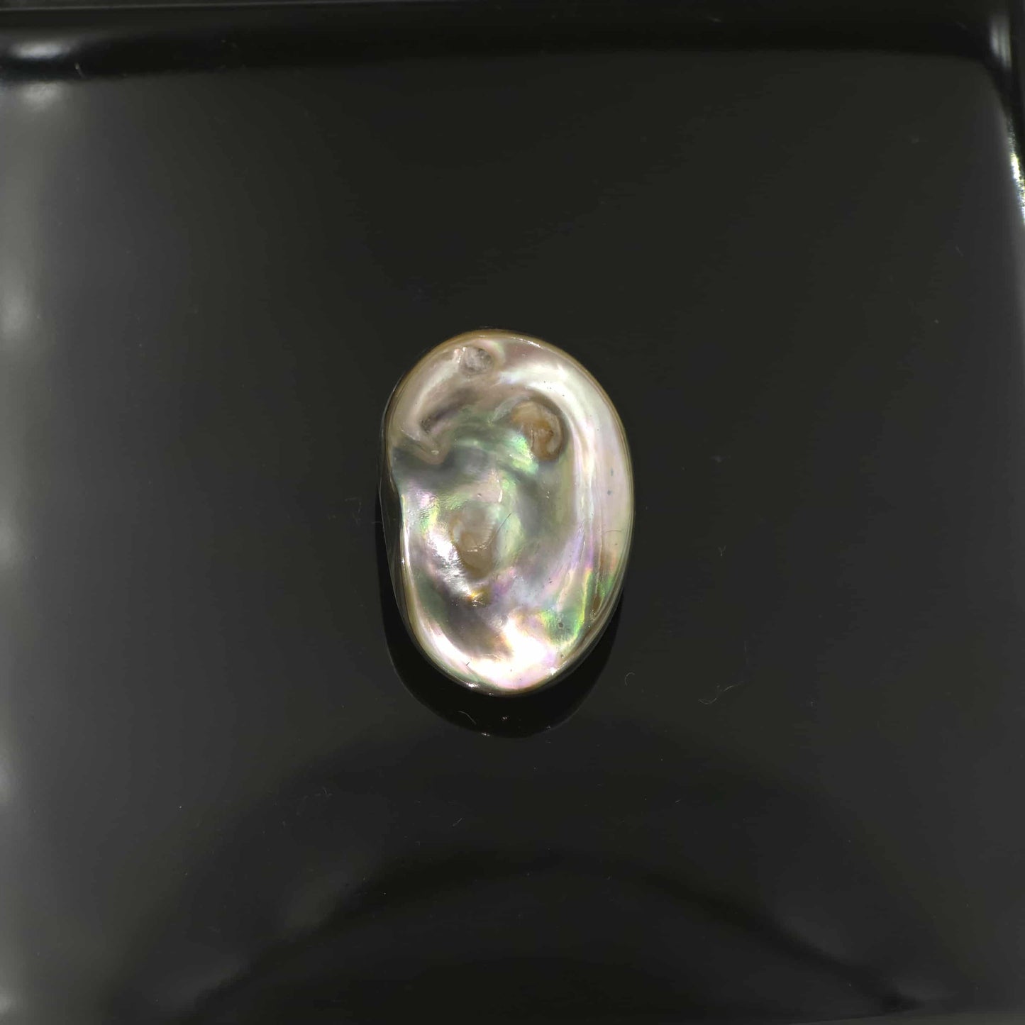 Wild Pāua Pearl Mabē