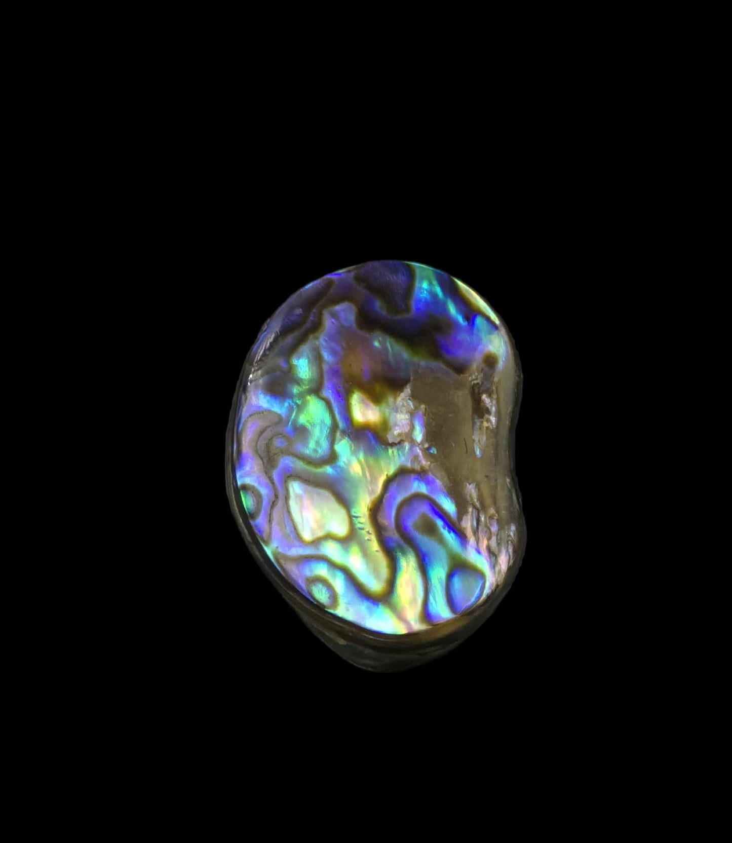 Wild Pāua Pearl Mabē