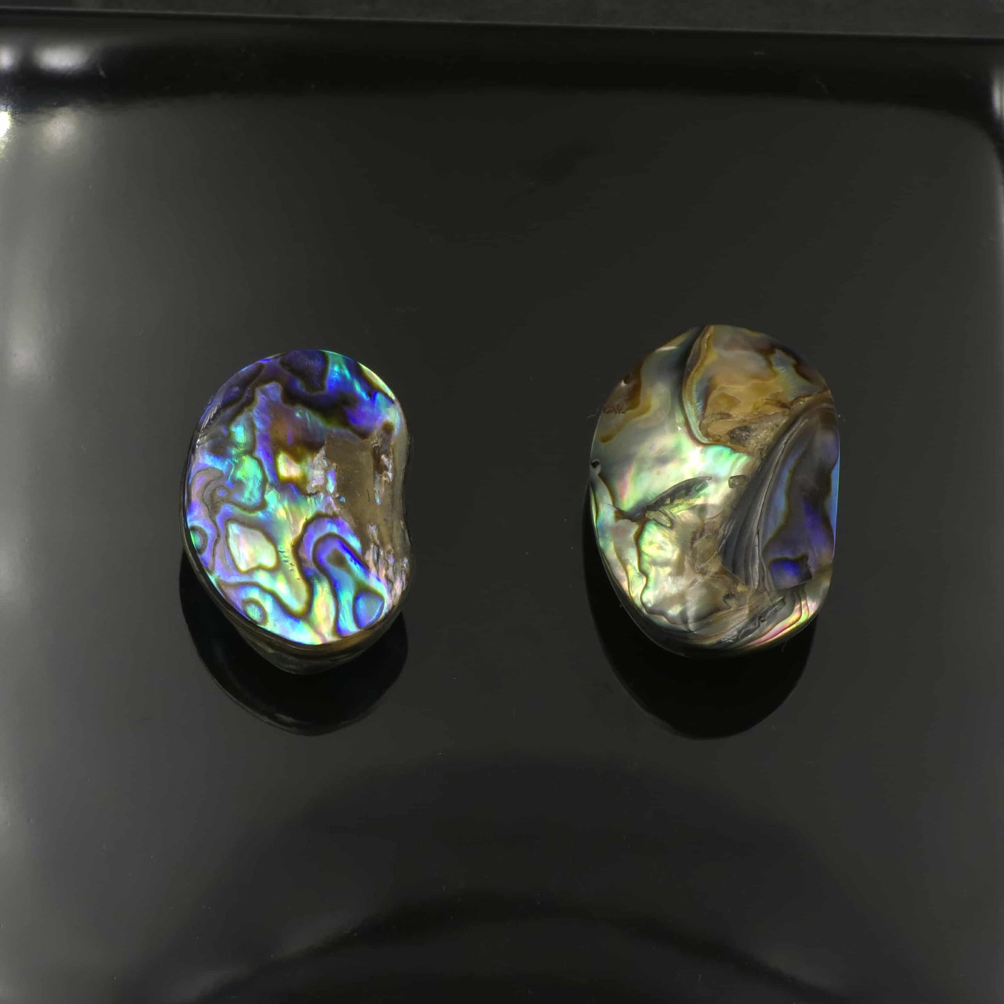 Wild Pāua Pearl Mabē