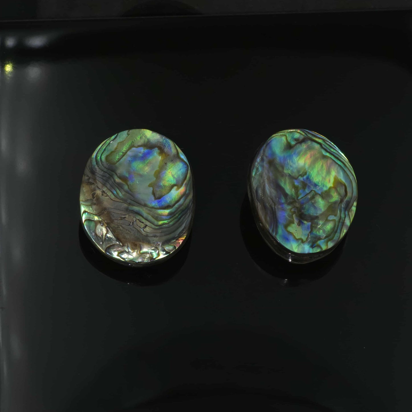 Wild Pāua Pearl Mabē