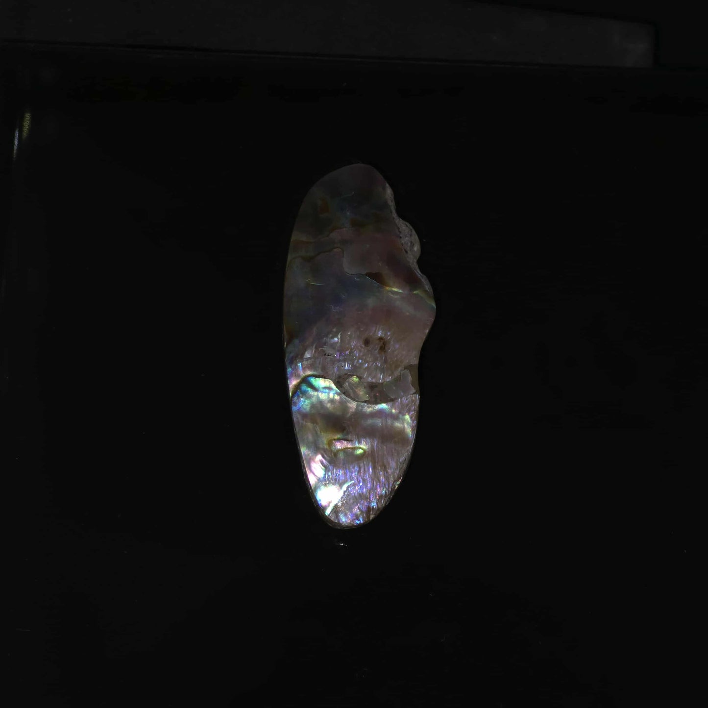 Wild Pāua Pearl Mabē