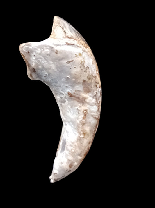 Wild Pāua Pearl Mabē (Solid).