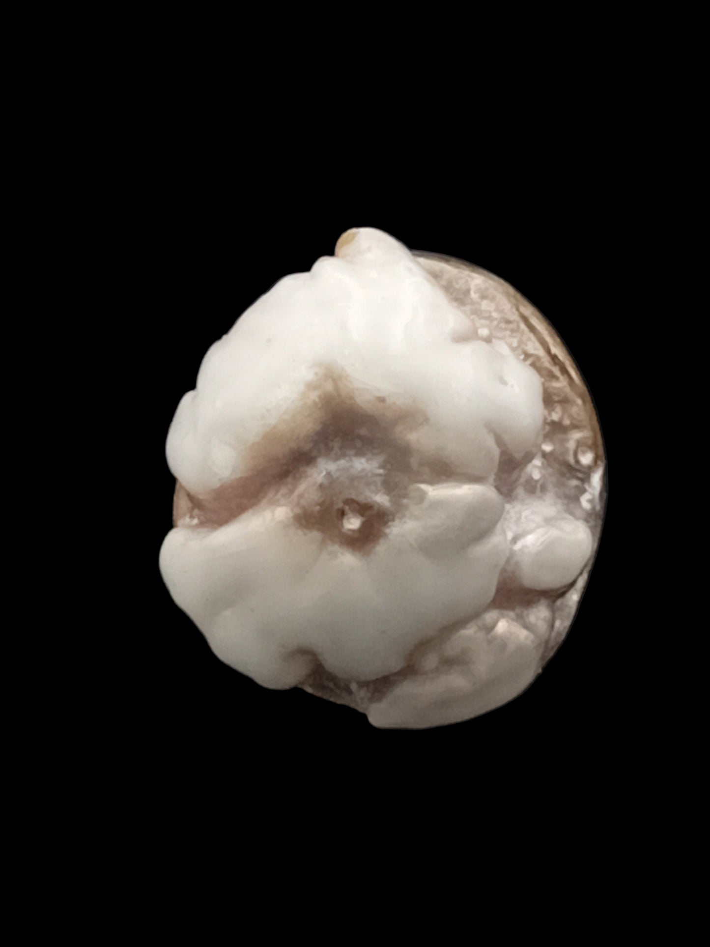 Small White Natural Wild Pāua Blister Pearl