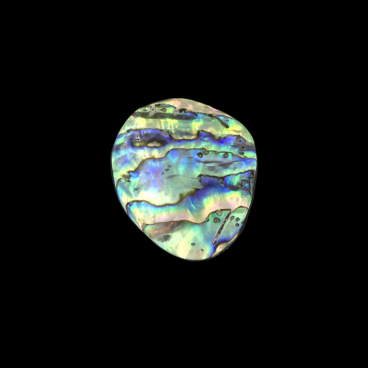 Wild Pāua Pearl Mabē