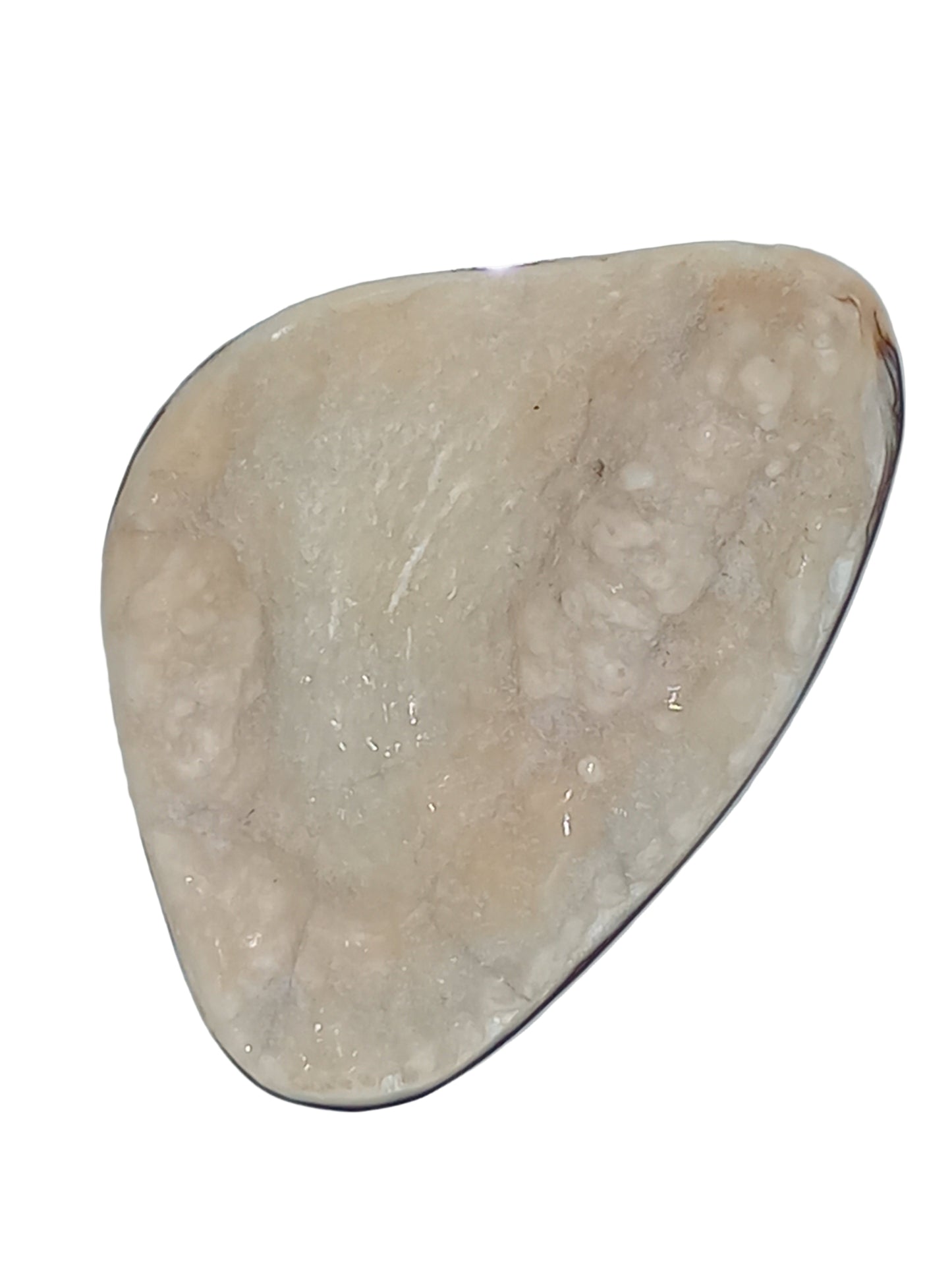 Large White Wild Pāua Pearl Mabē (Solid).