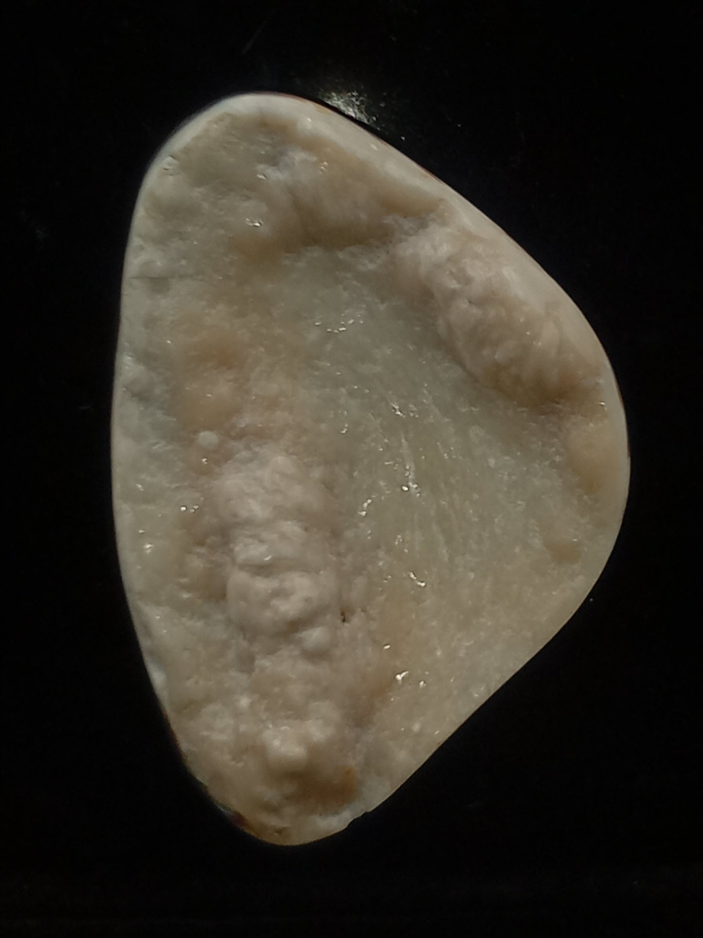 Large White Wild Pāua Pearl Mabē (Solid).