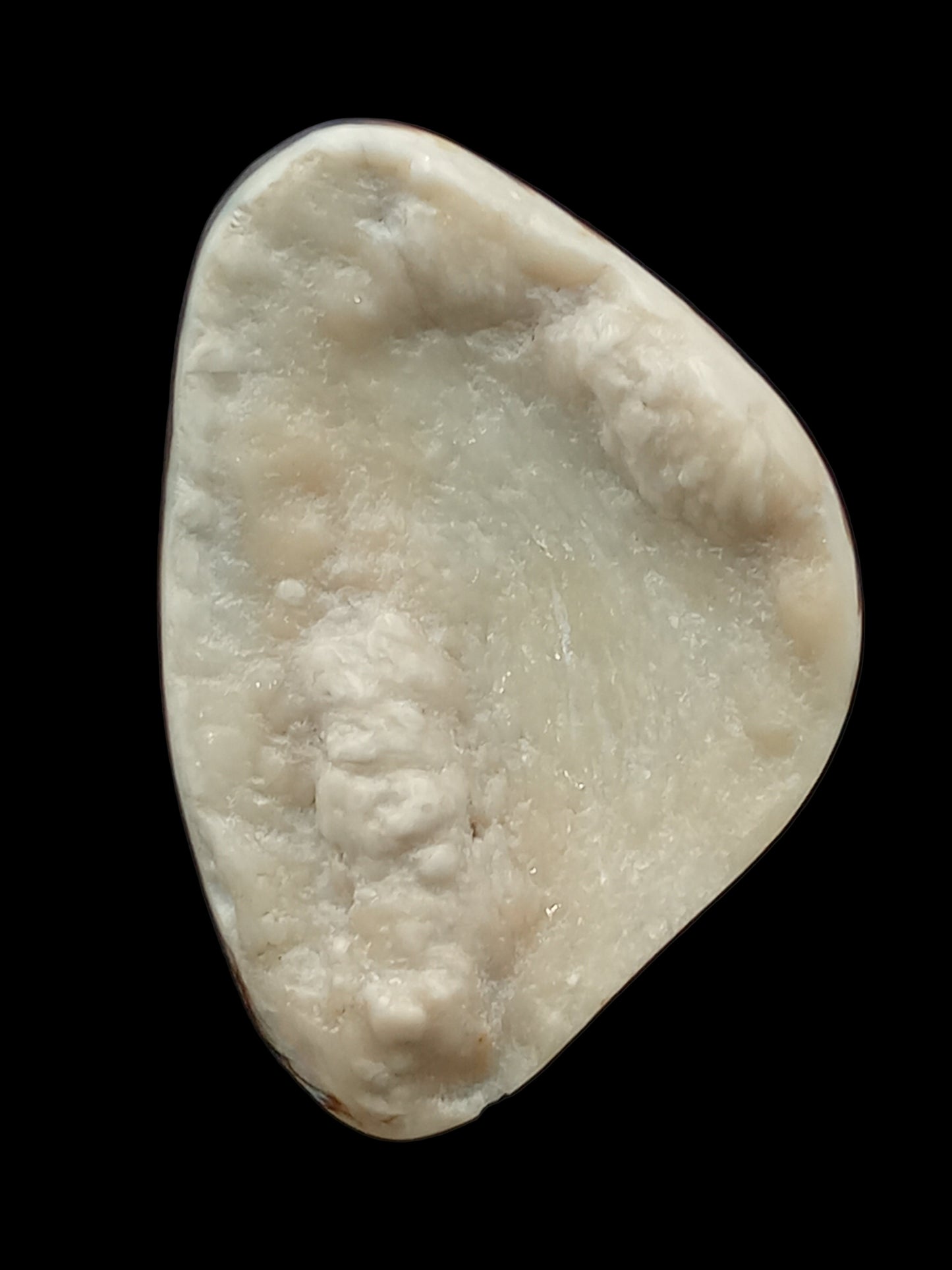 Large White Wild Pāua Pearl Mabē (Solid).