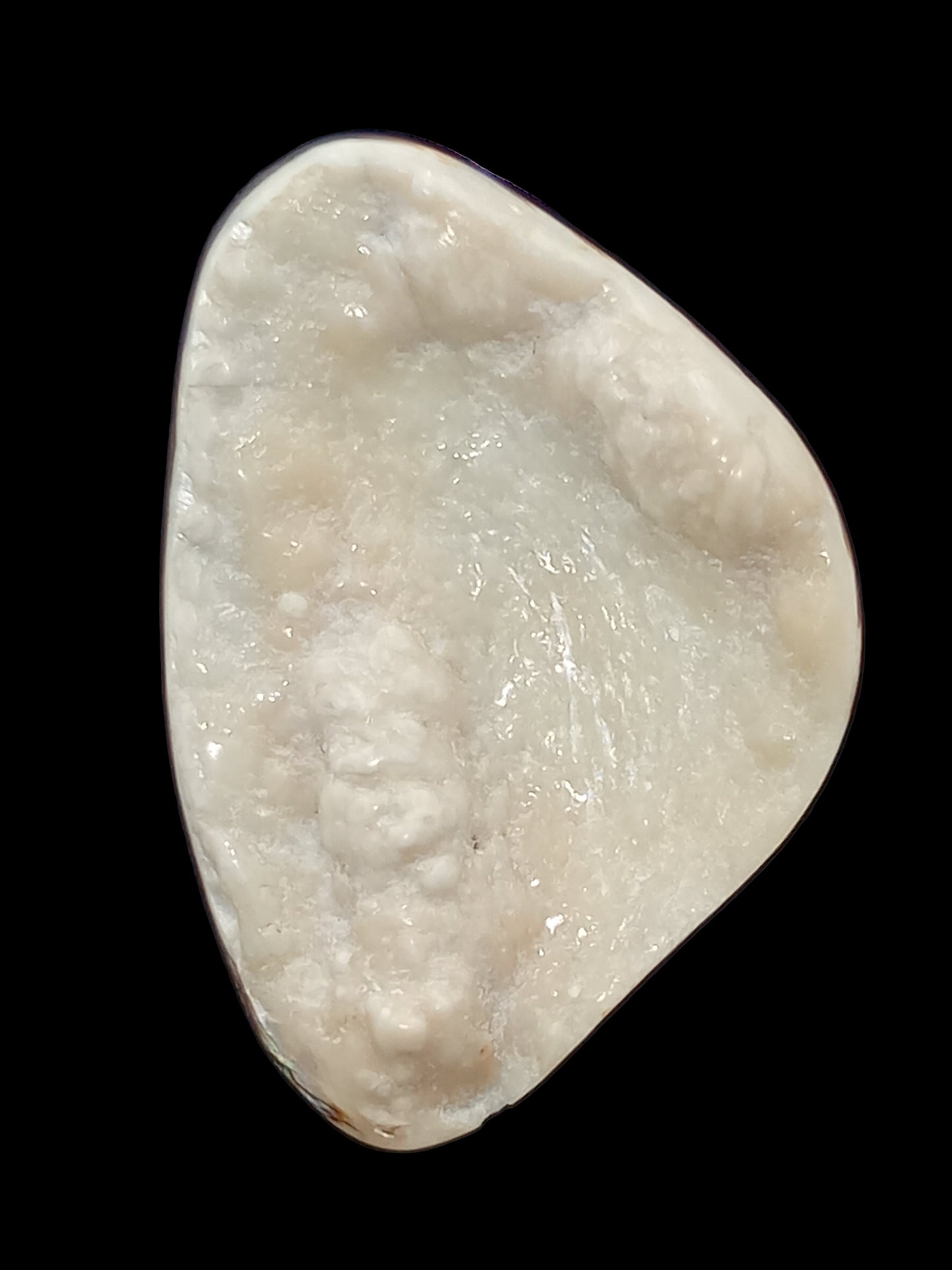 Large White Wild Pāua Pearl Mabē (Solid).