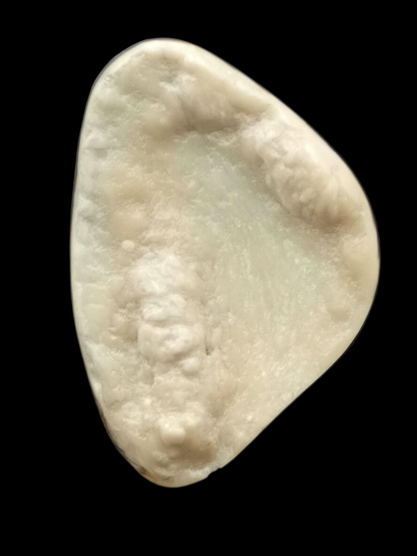 Large White Wild Pāua Pearl Mabē (Solid).