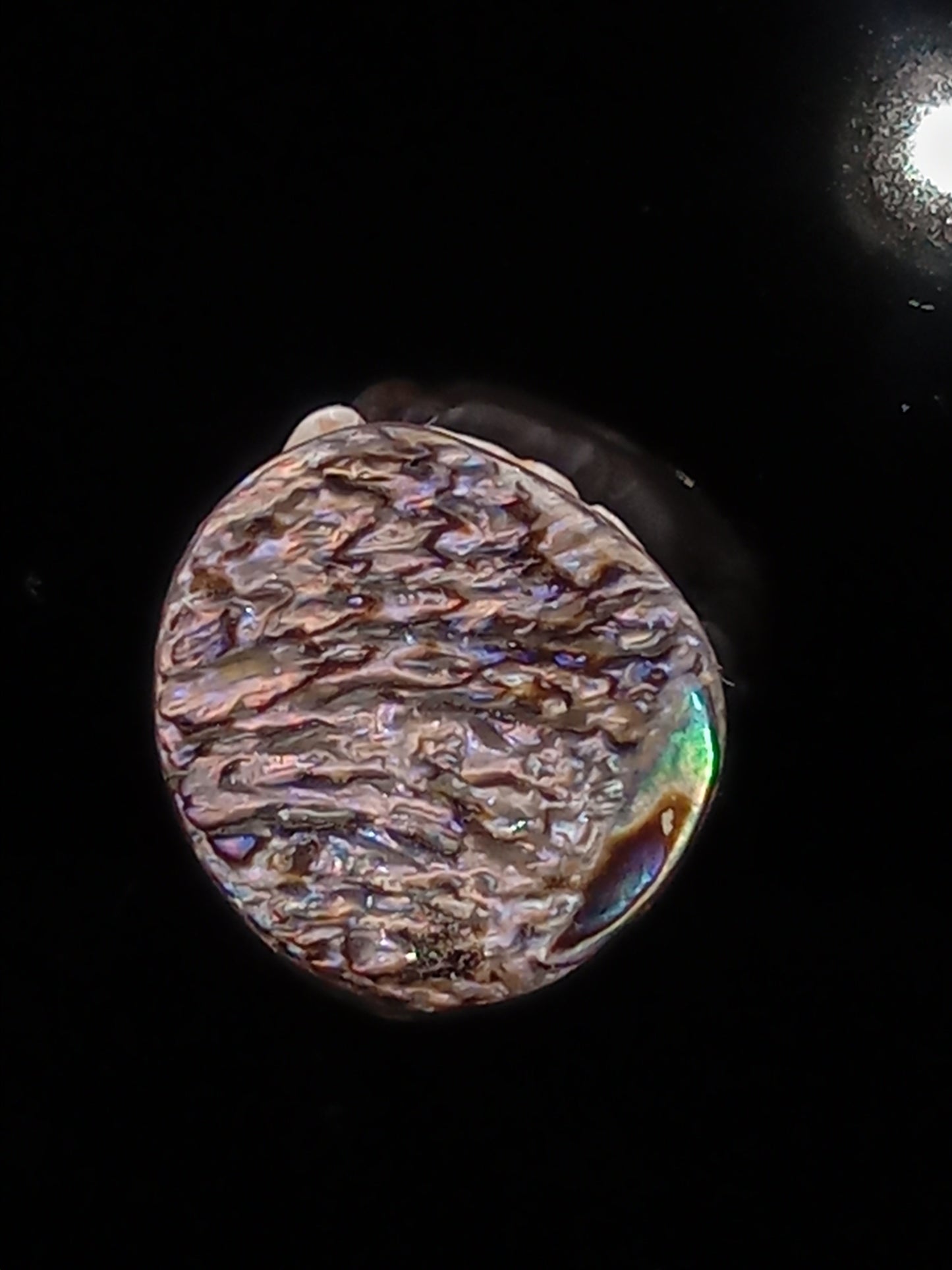 Small White Natural Wild Pāua Blister Pearl