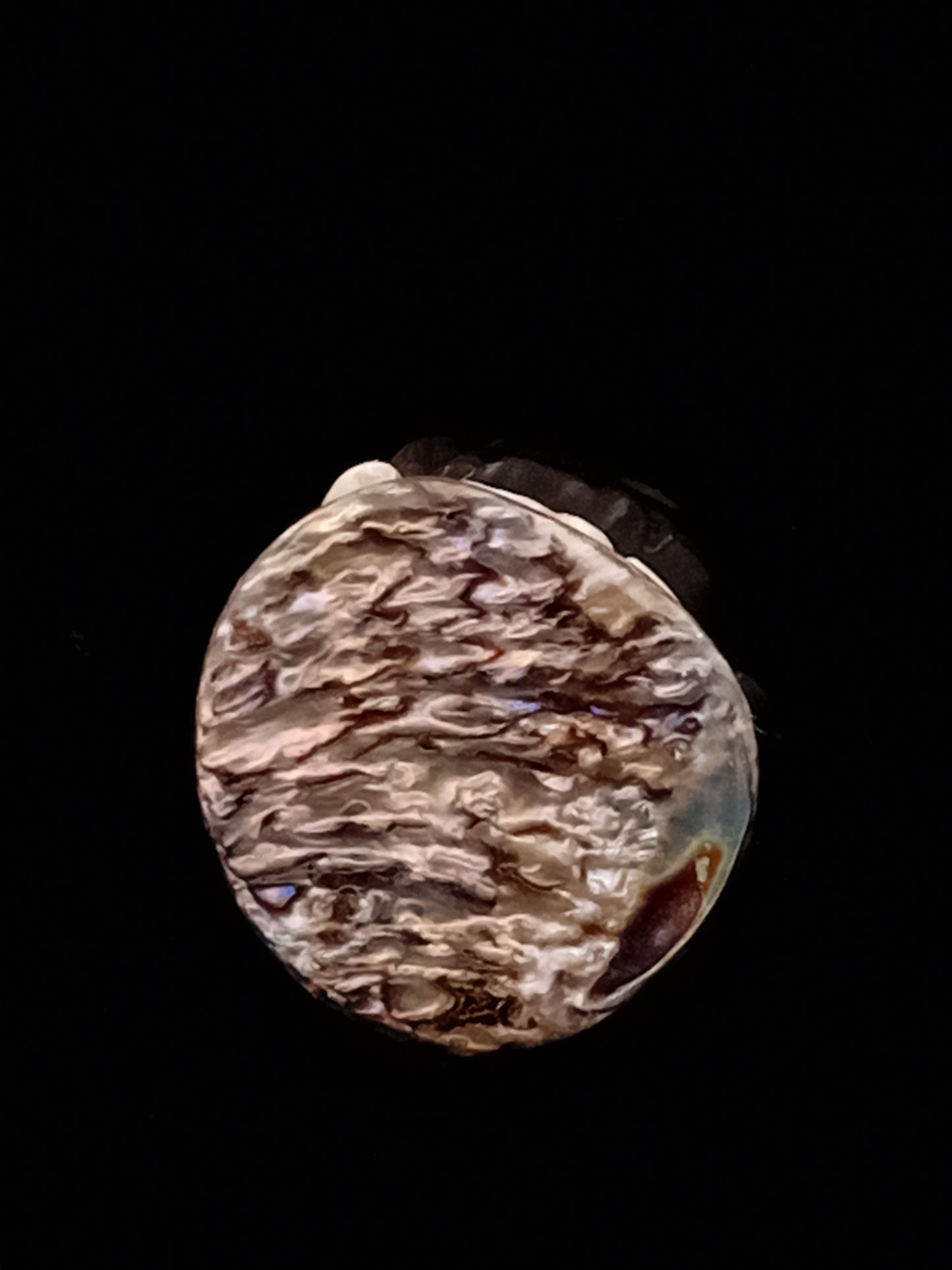 Small White Natural Wild Pāua Blister Pearl