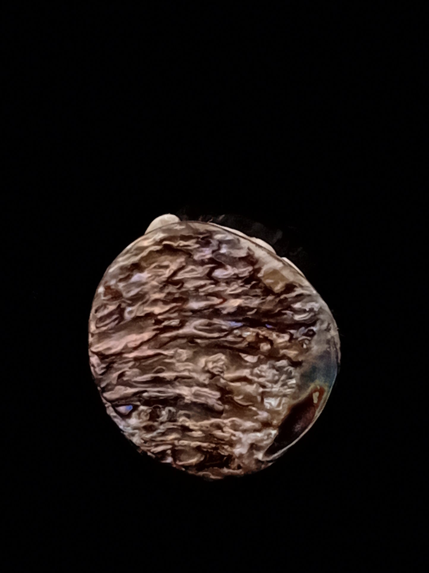 Small White Natural Wild Pāua Blister Pearl