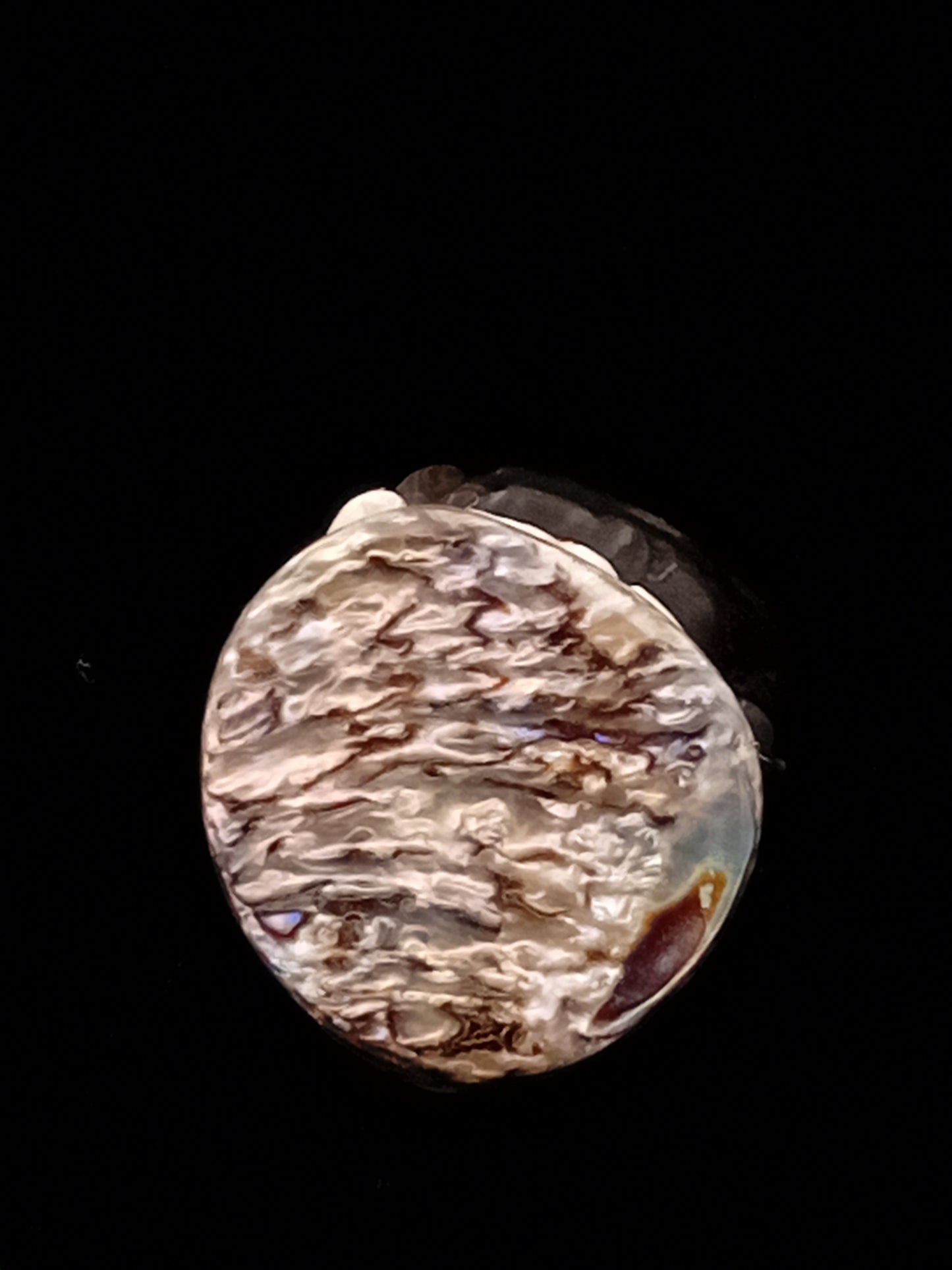 Small White Natural Wild Pāua Blister Pearl