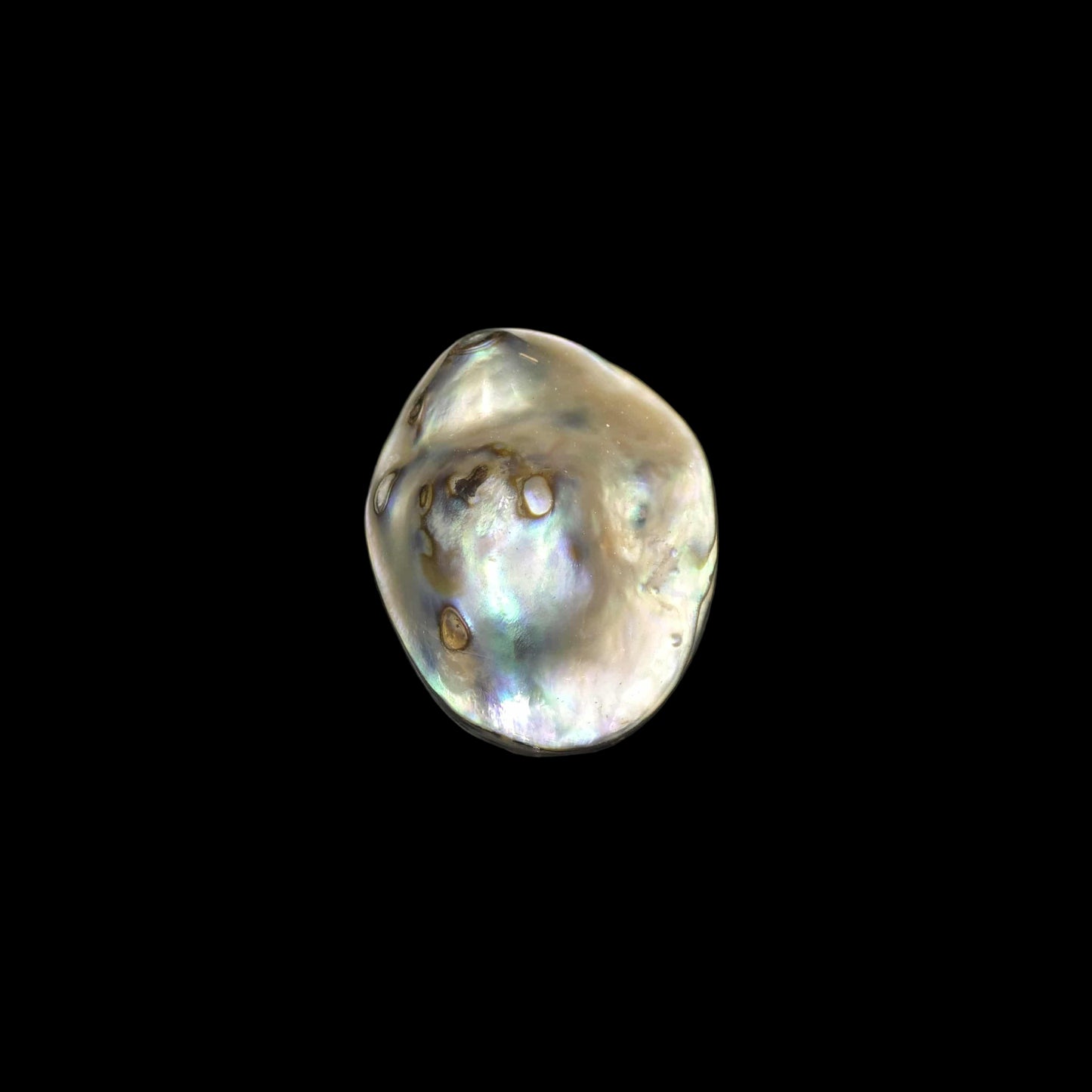 Wild Pāua Pearl Mabē