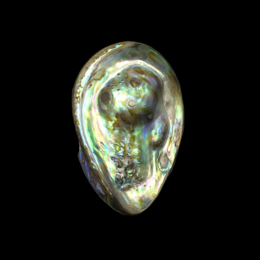 Wild Pāua Pearl Mabē (Solid)