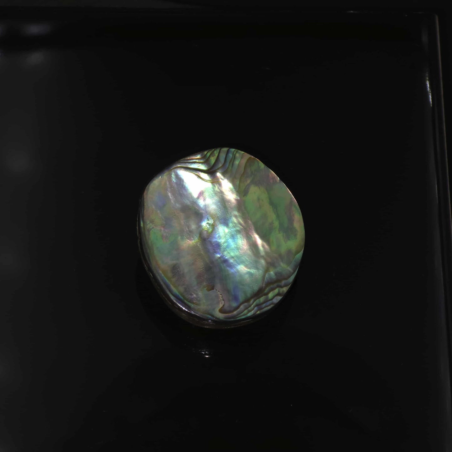 Wild Pāua Pearl Mabē