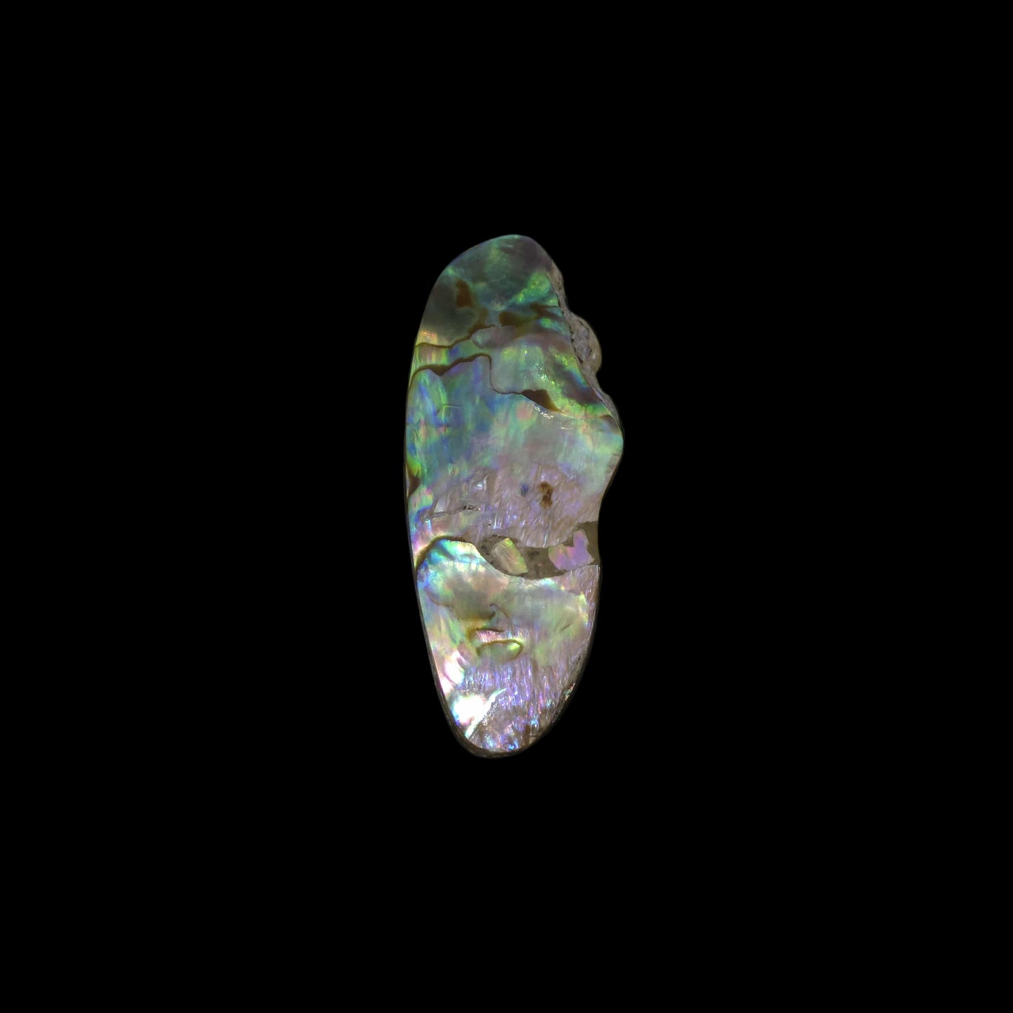 Wild Pāua Pearl Mabē