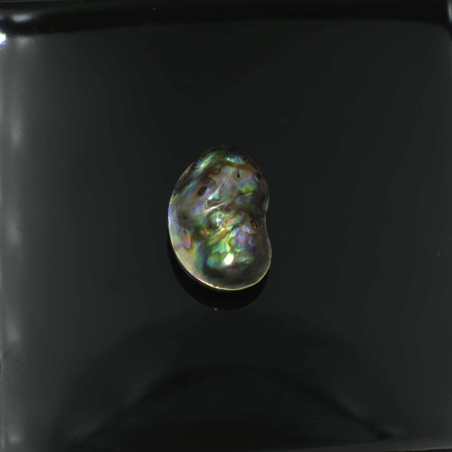 Wild Pāua Pearl Mabē