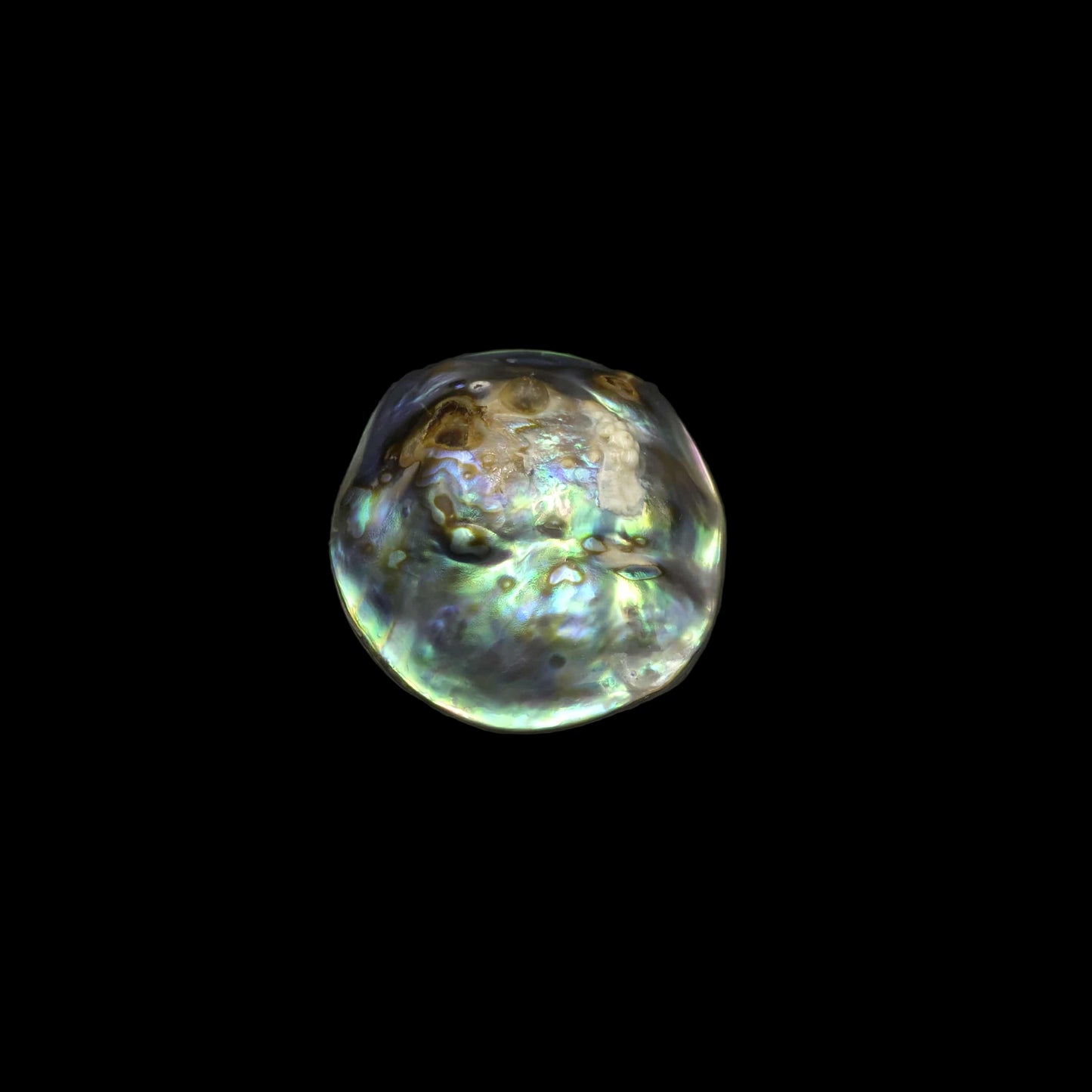 Wild Pāua Pearl Mabē