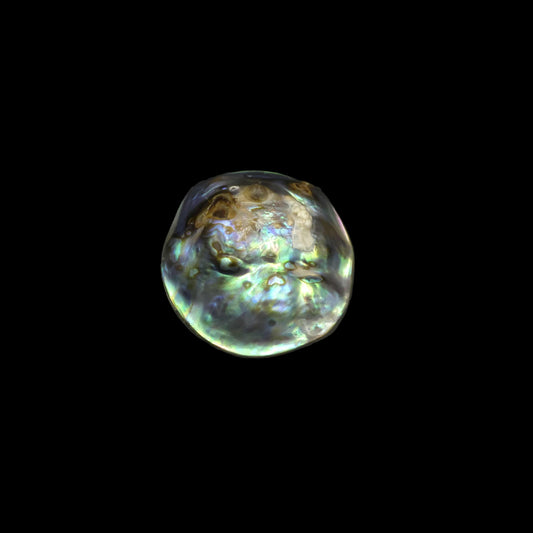 Wild Pāua Pearl Mabē