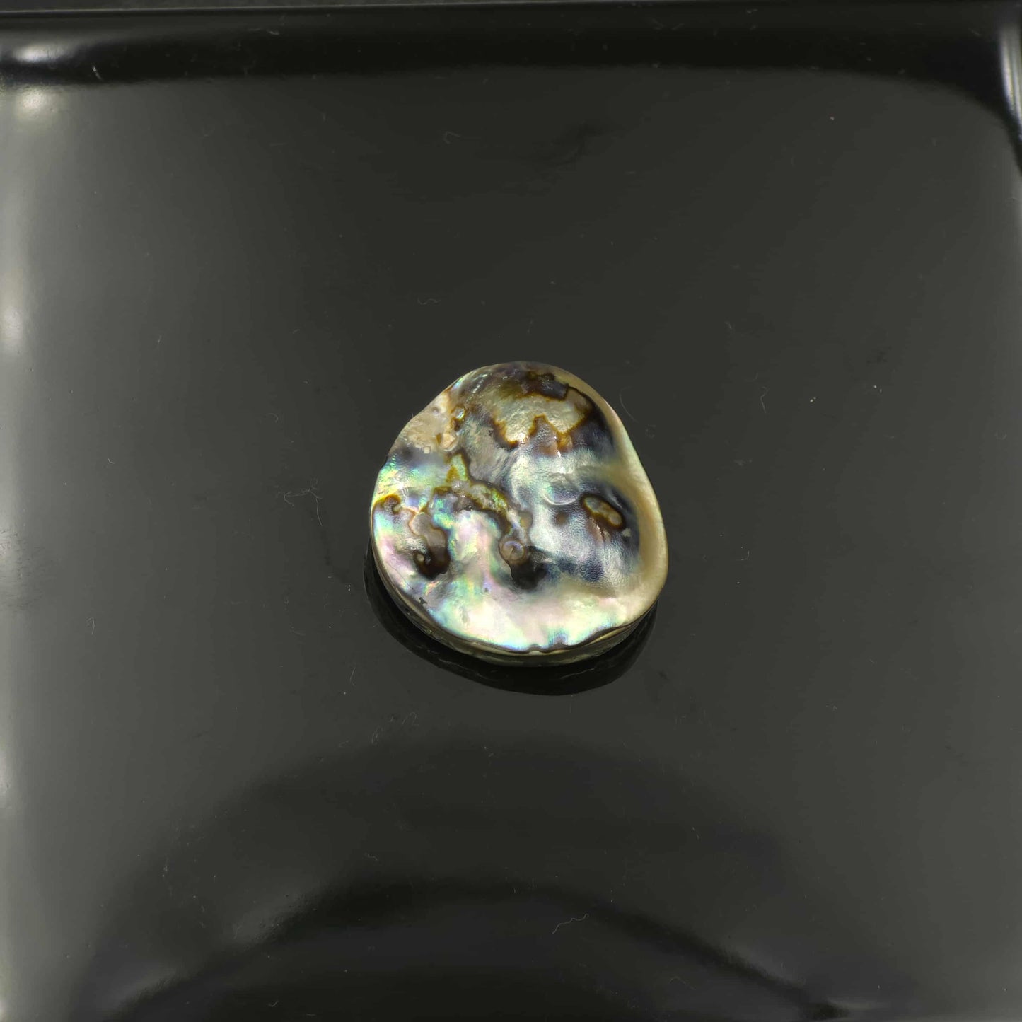 Wild Pāua Pearl Mabē