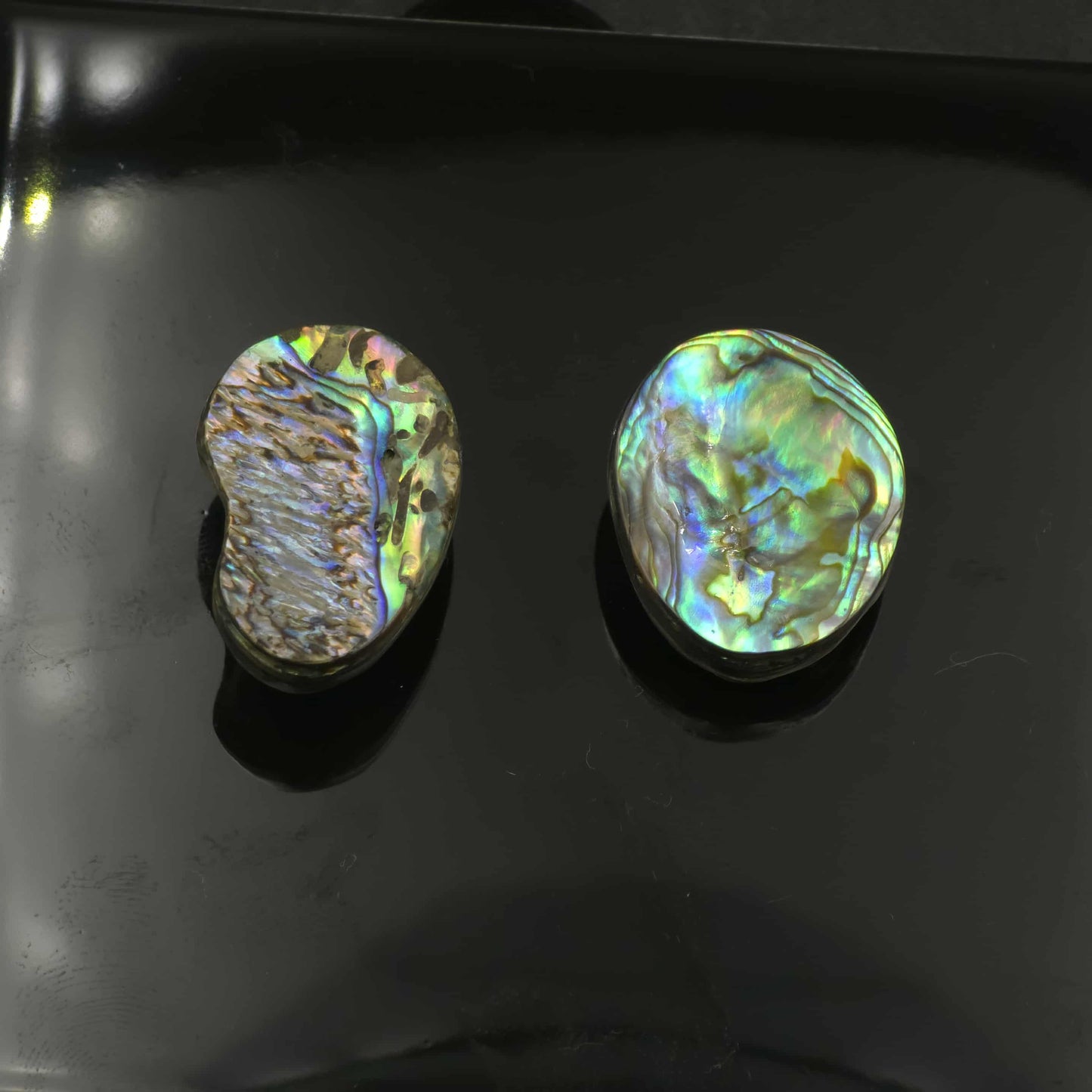 Wild Pāua Pearl Mabē