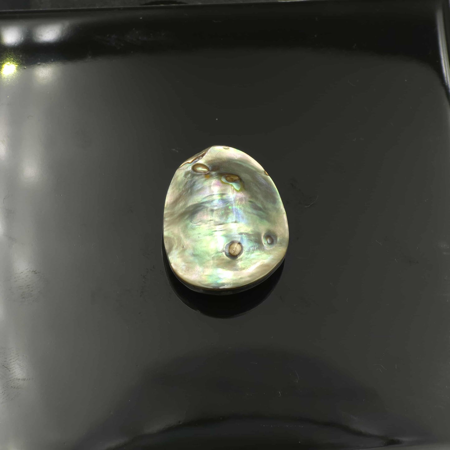 Wild Pāua Pearl Mabē