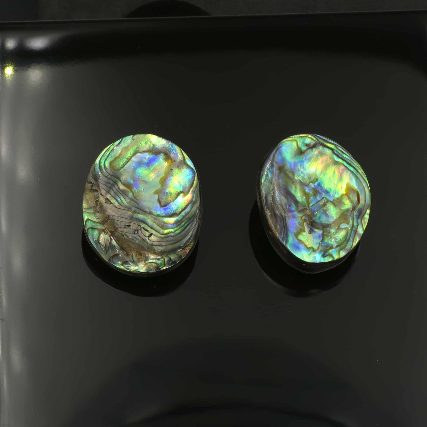 Wild Pāua Pearl Mabē