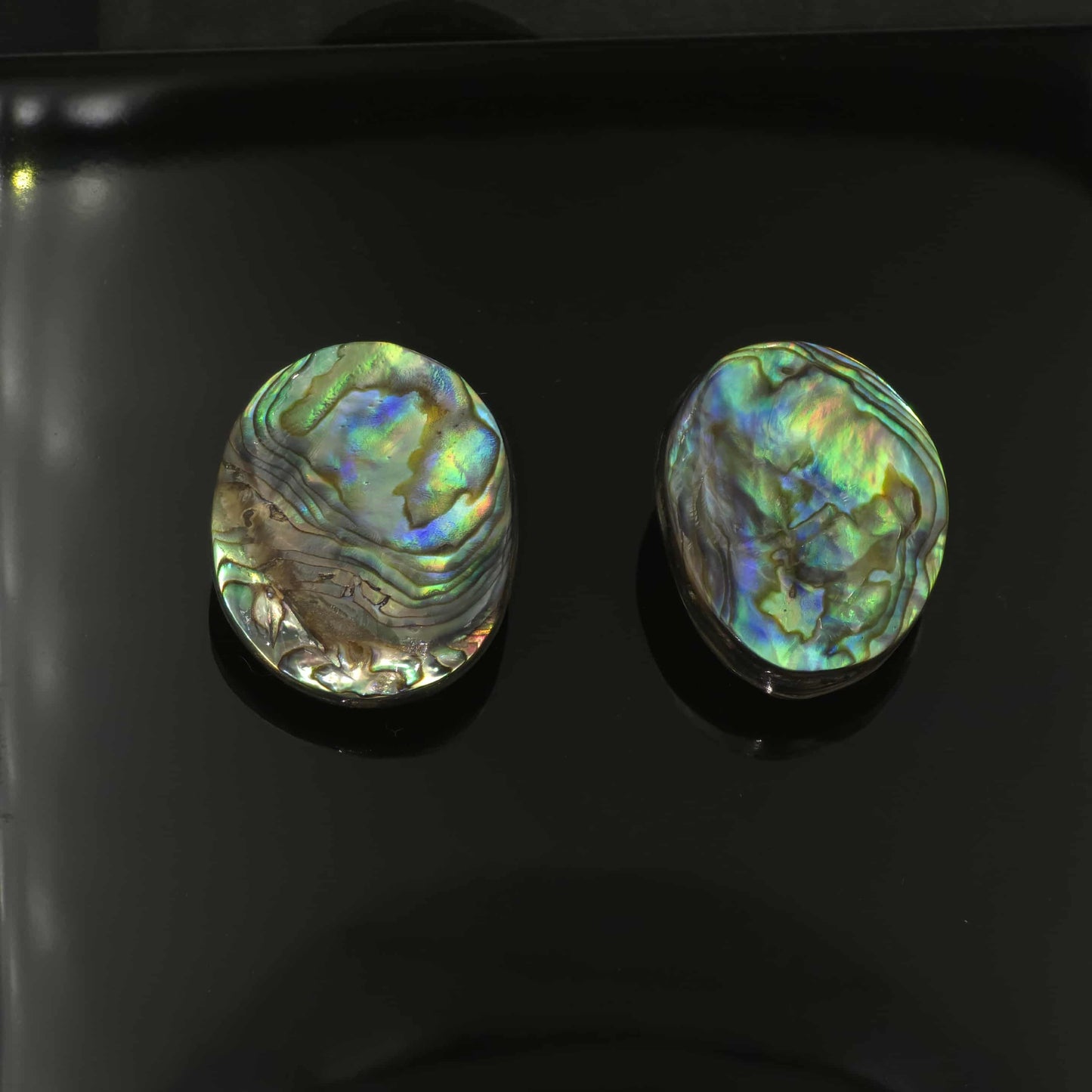 Wild Pāua Pearl Mabē