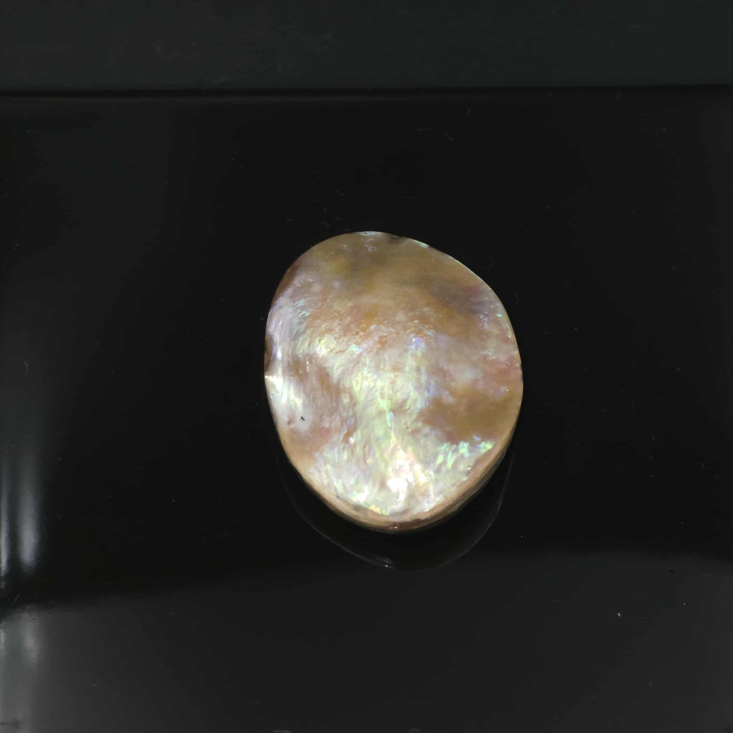Wild Pink Pāua Pearl Mabē