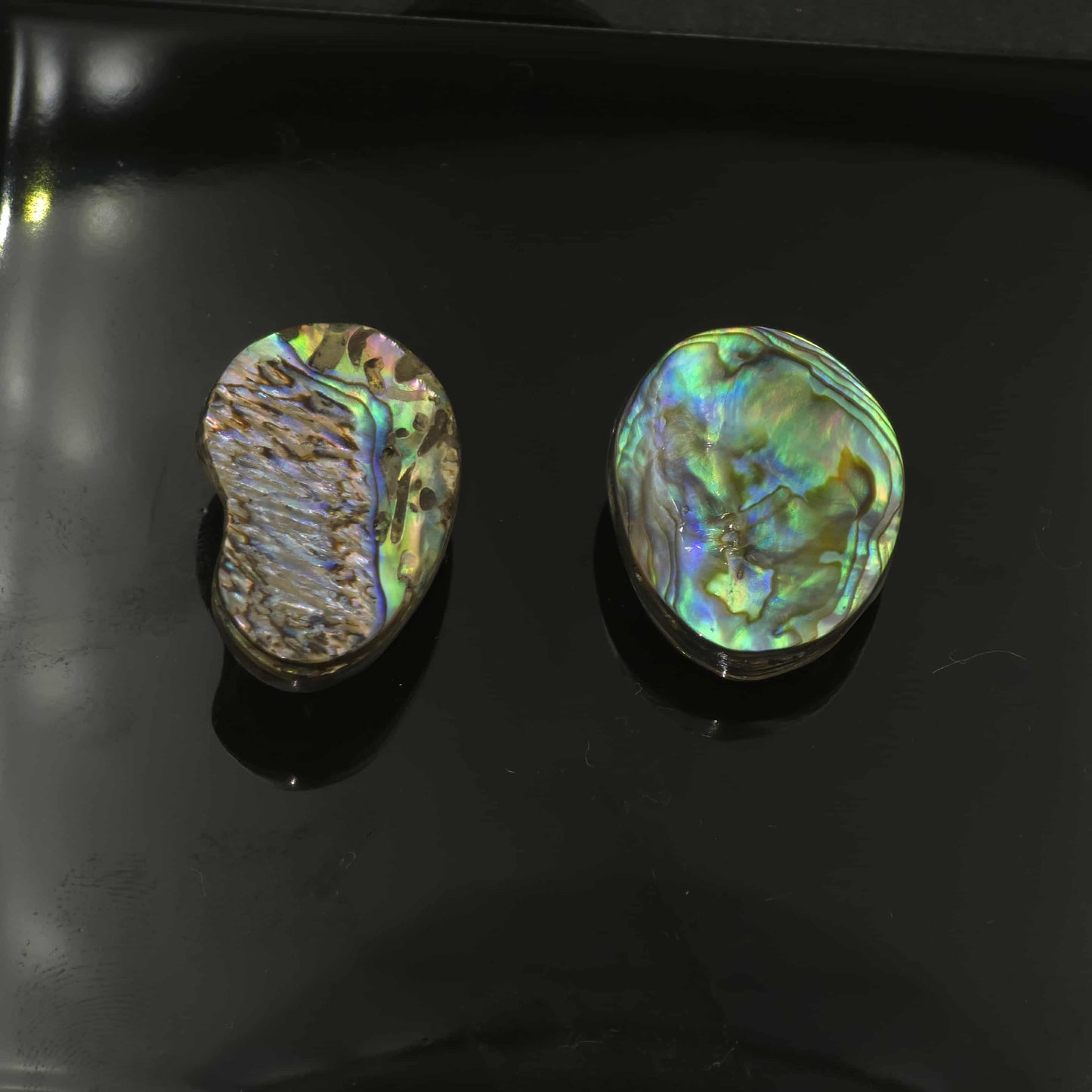 Wild Pāua Pearl Mabē