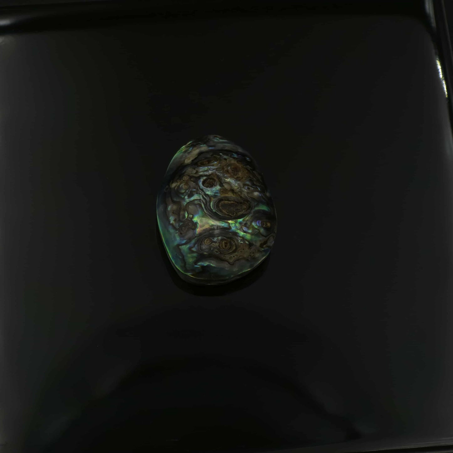 Wild Pāua Pearl Mabē