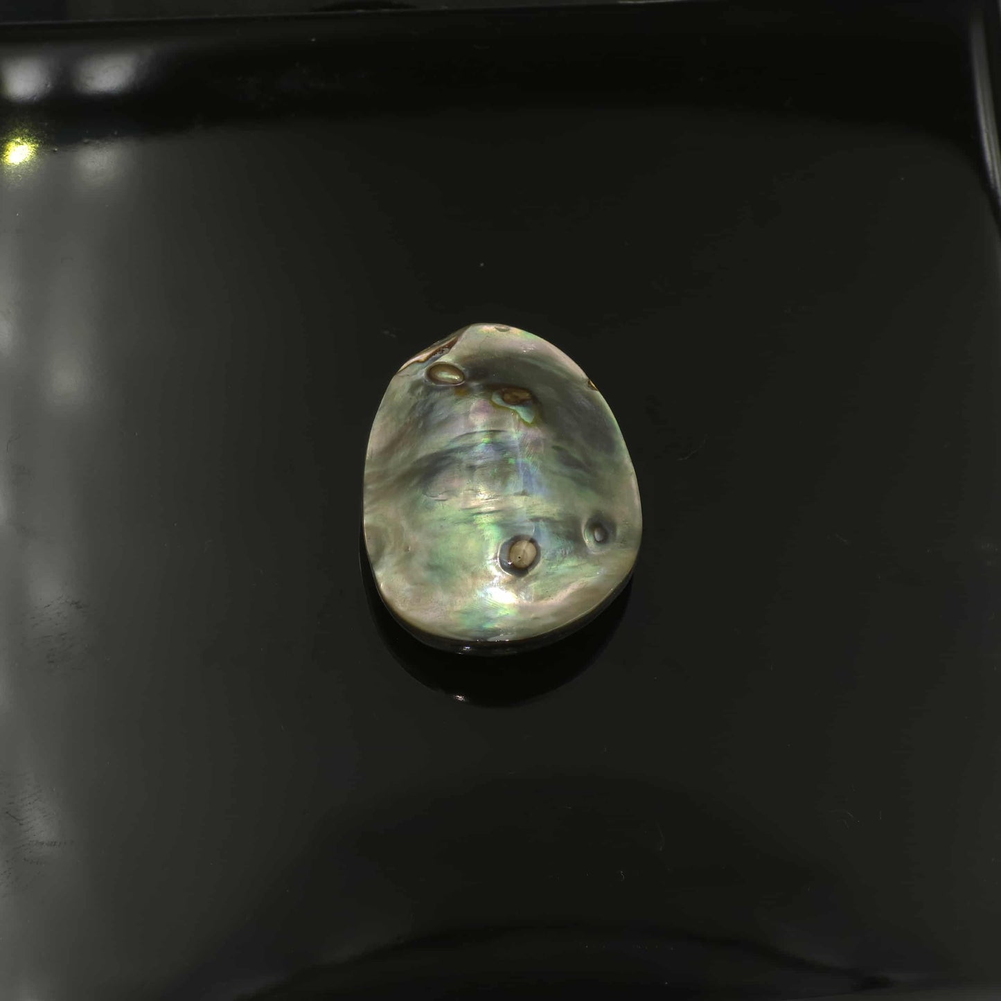 Wild Pāua Pearl Mabē