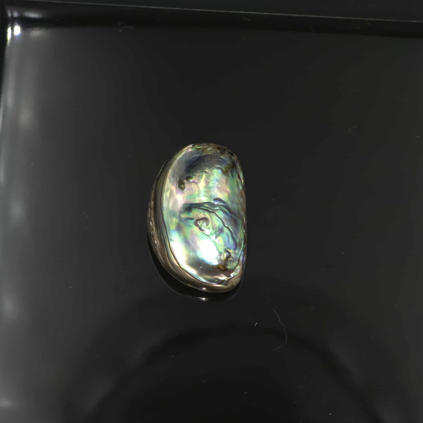 Wild Pāua Pearl Mabē