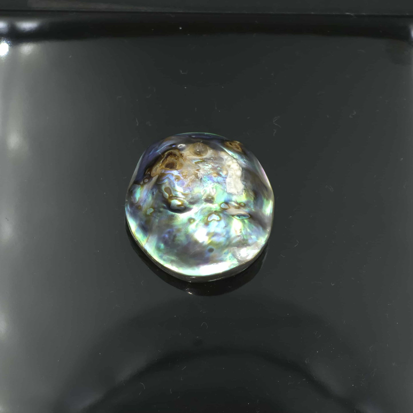 Wild Pāua Pearl Mabē