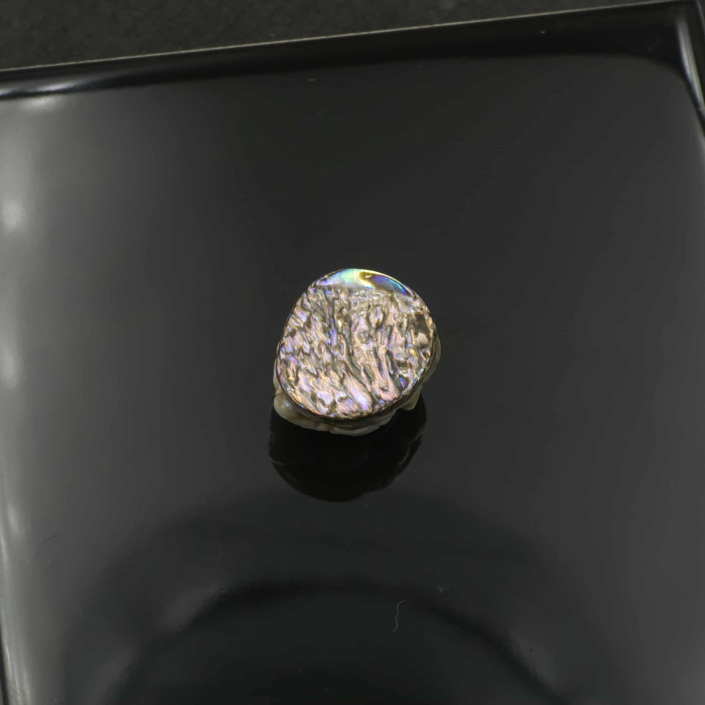 Small White Natural Wild Pāua Blister Pearl