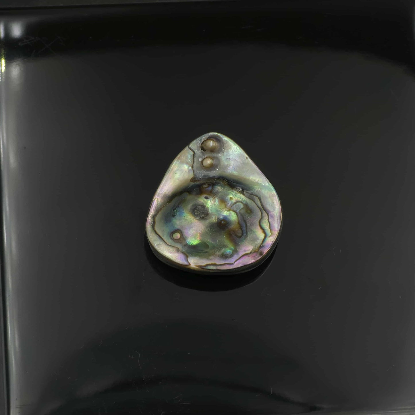 Wild Pāua Pearl Mabē