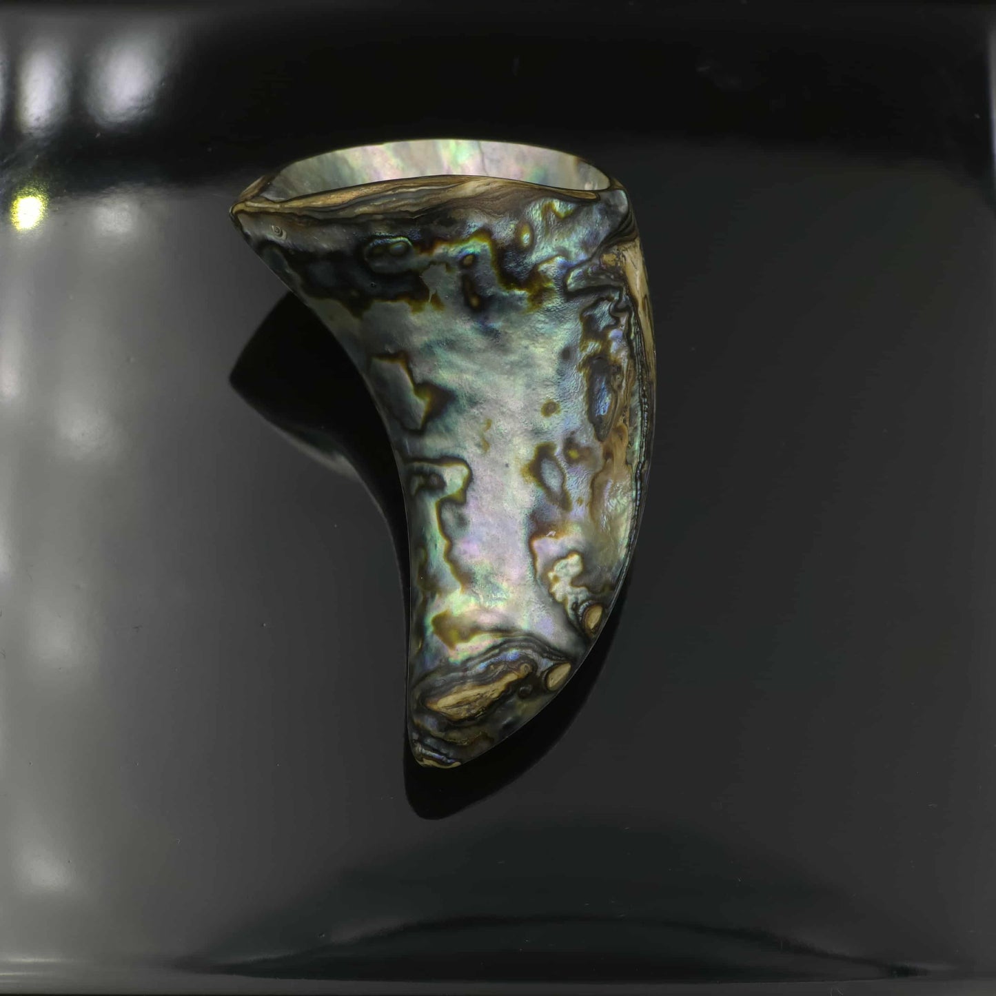 Wild Pāua Pearl Mabē Horn (Solid).