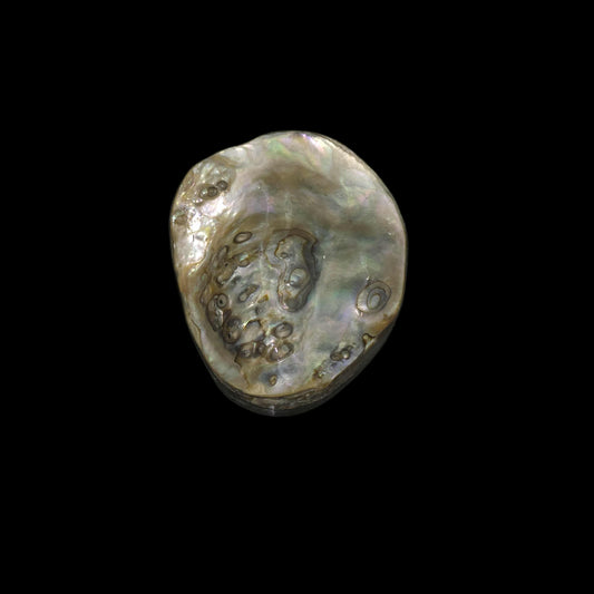 Wild Pāua Pearl Mabē