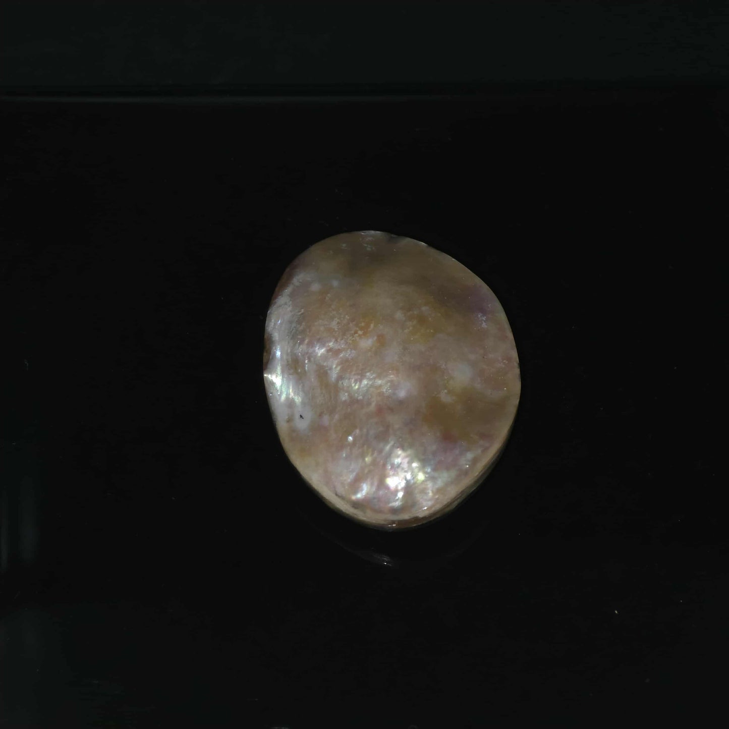 Wild Pink Pāua Pearl Mabē