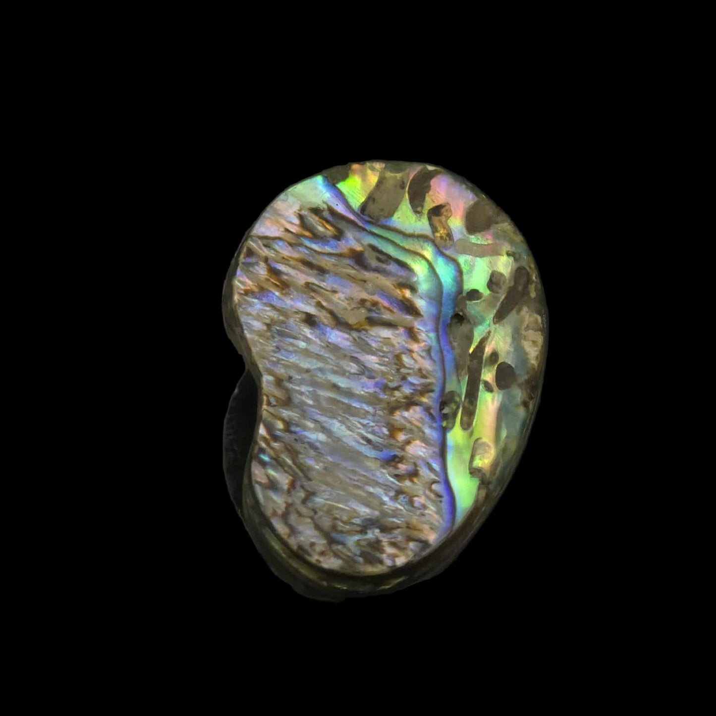 Wild Pāua Pearl Mabē