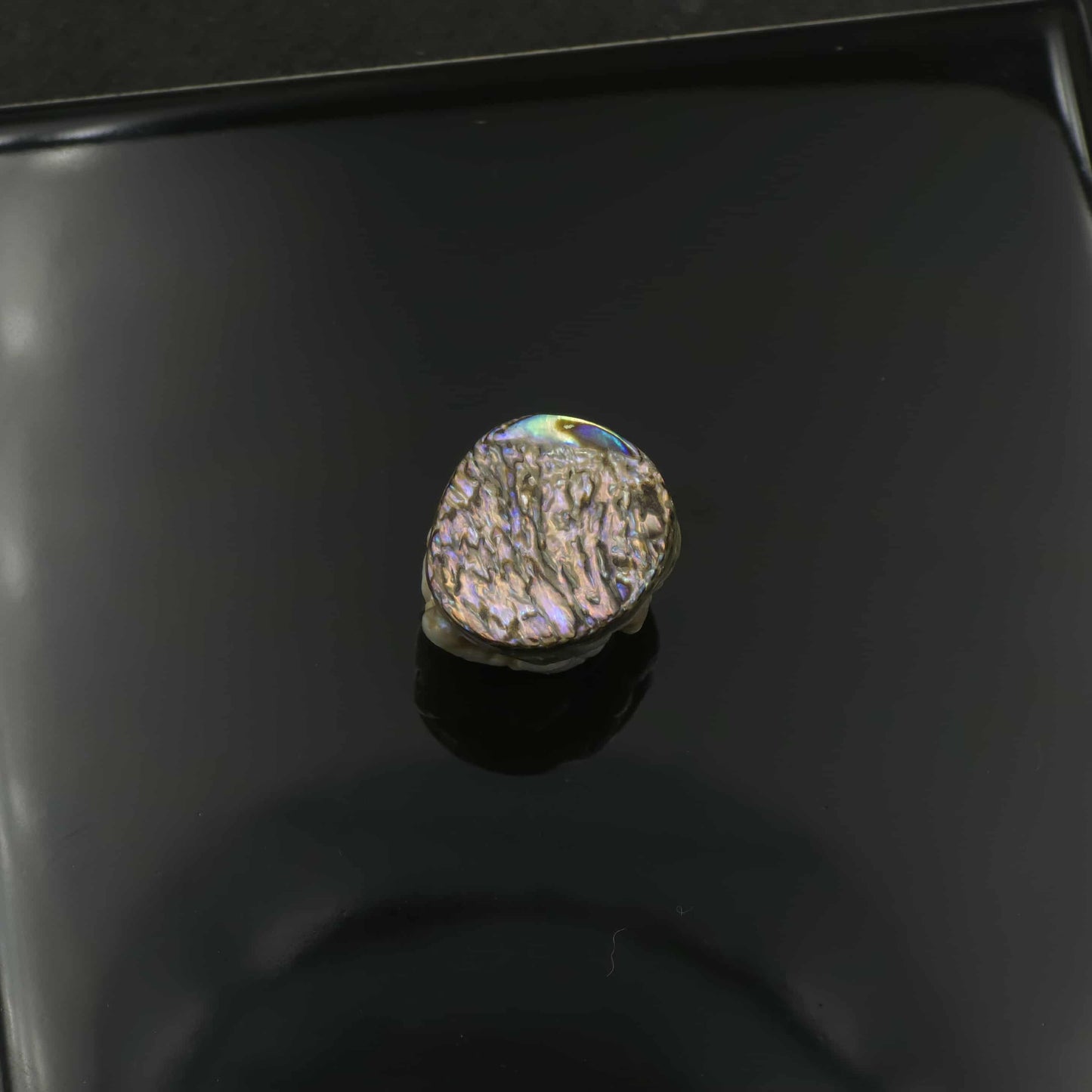 Small White Natural Wild Pāua Blister Pearl