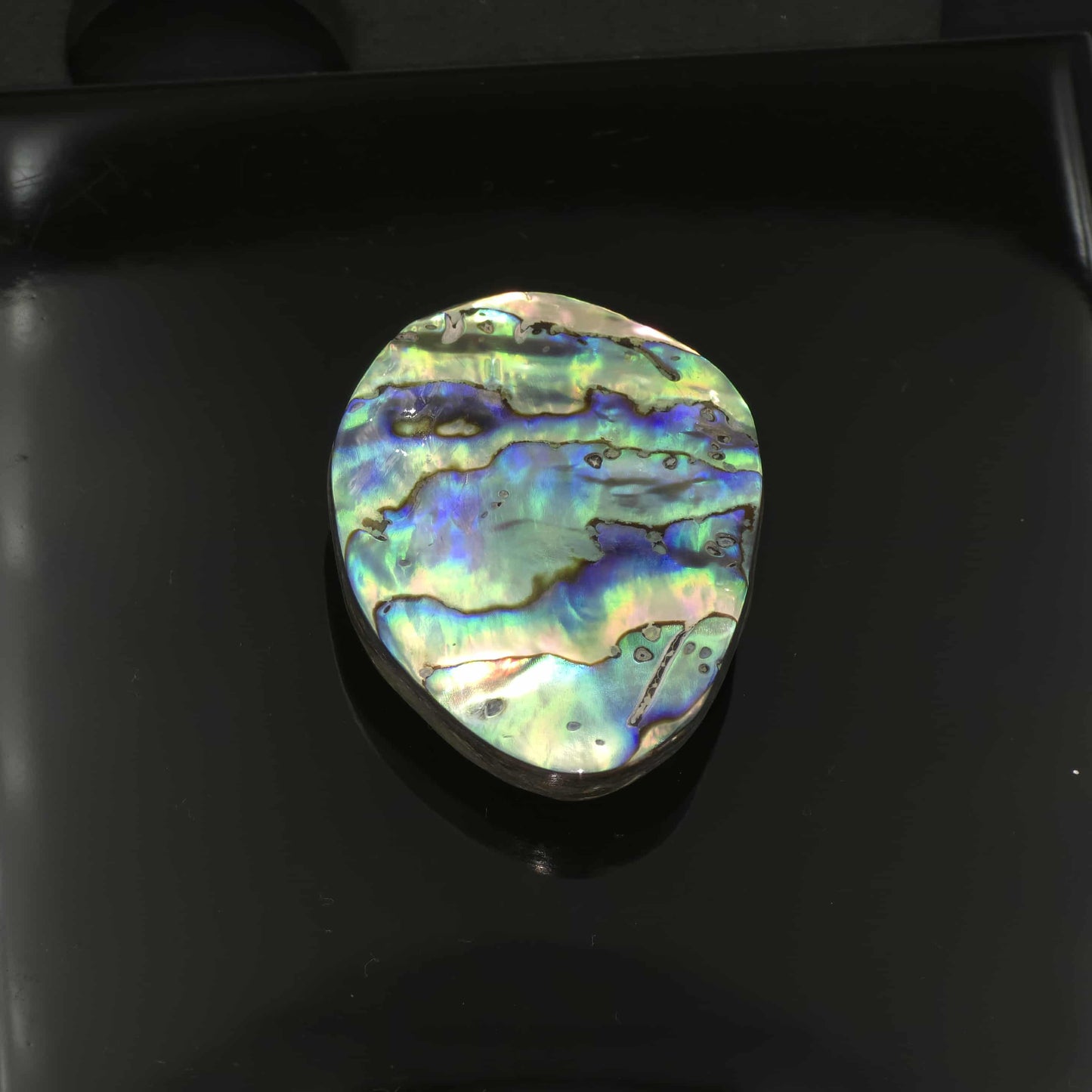 Wild Pāua Pearl Mabē