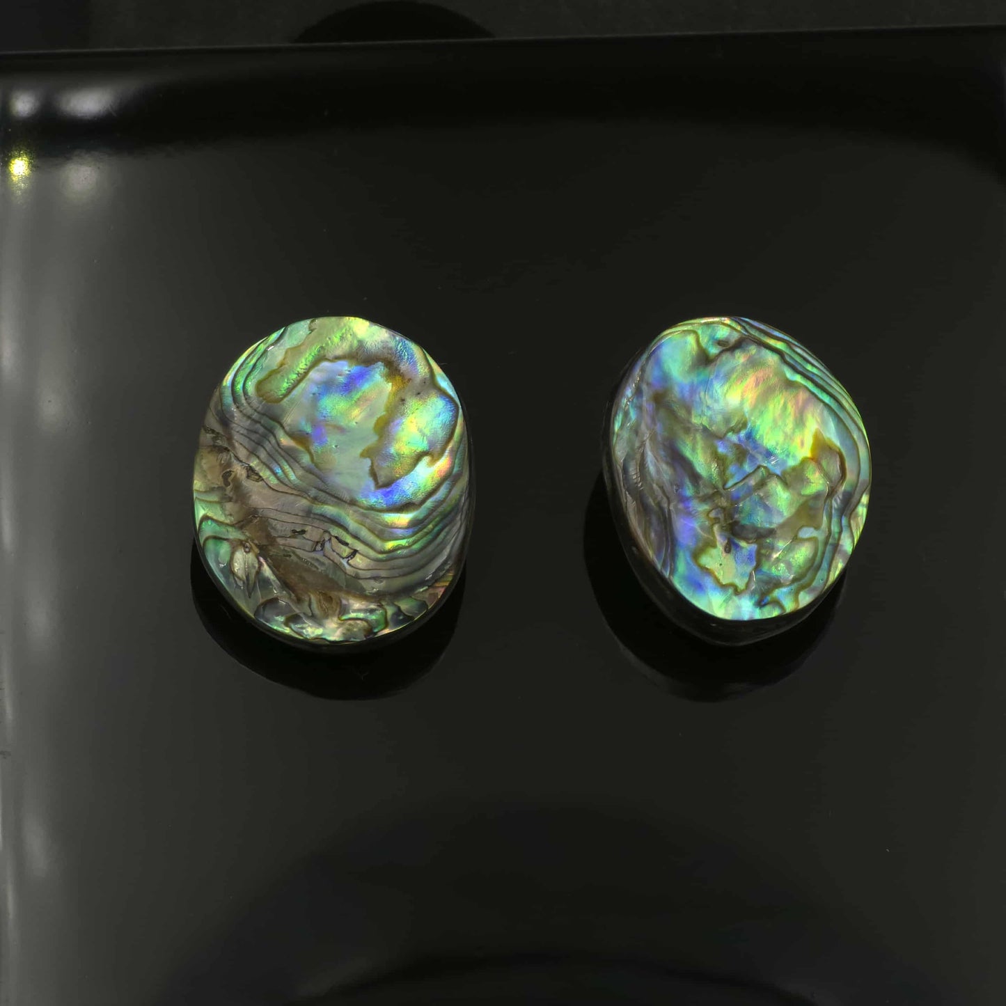 Wild Pāua Pearl Mabē