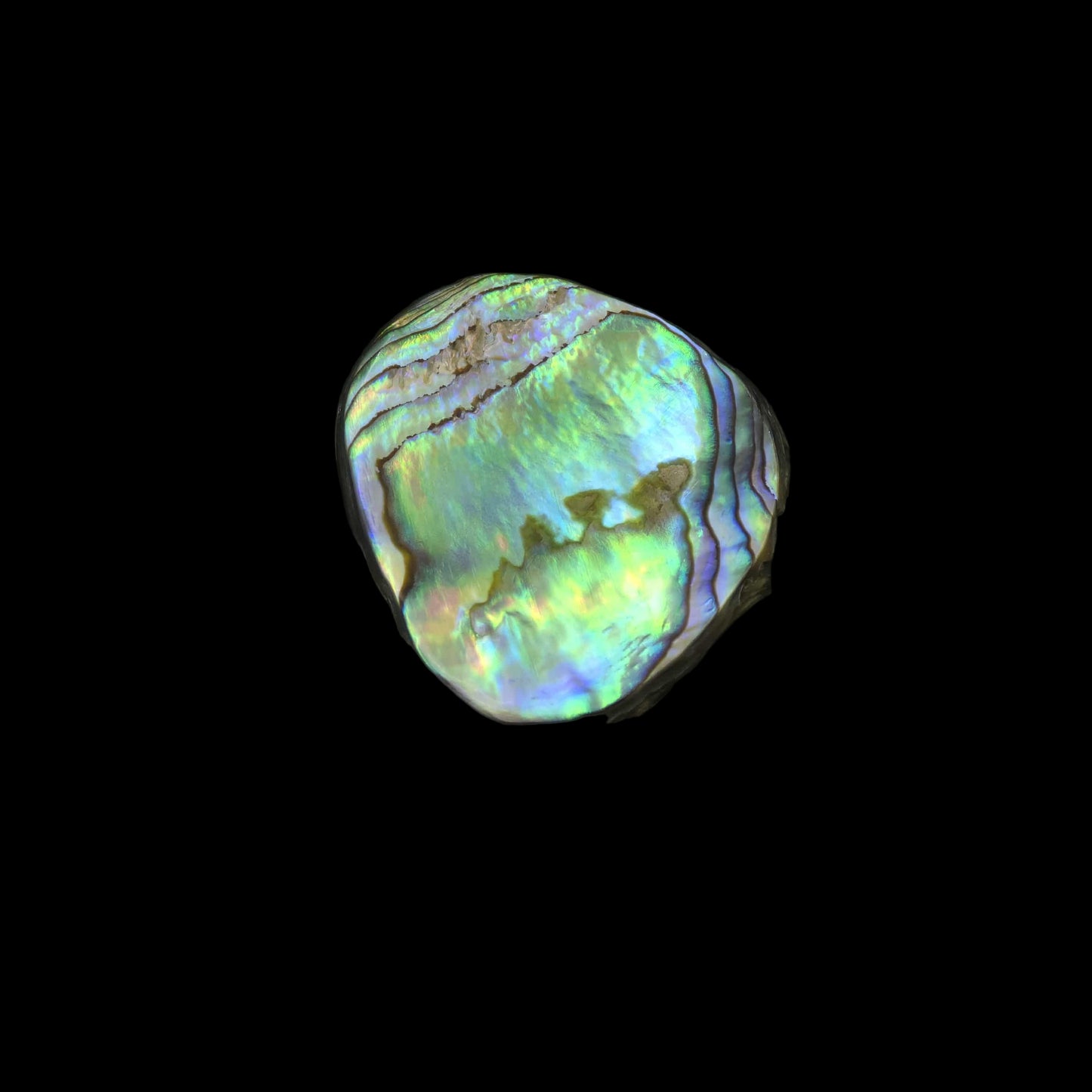 Wild Pāua Pearl Mabē