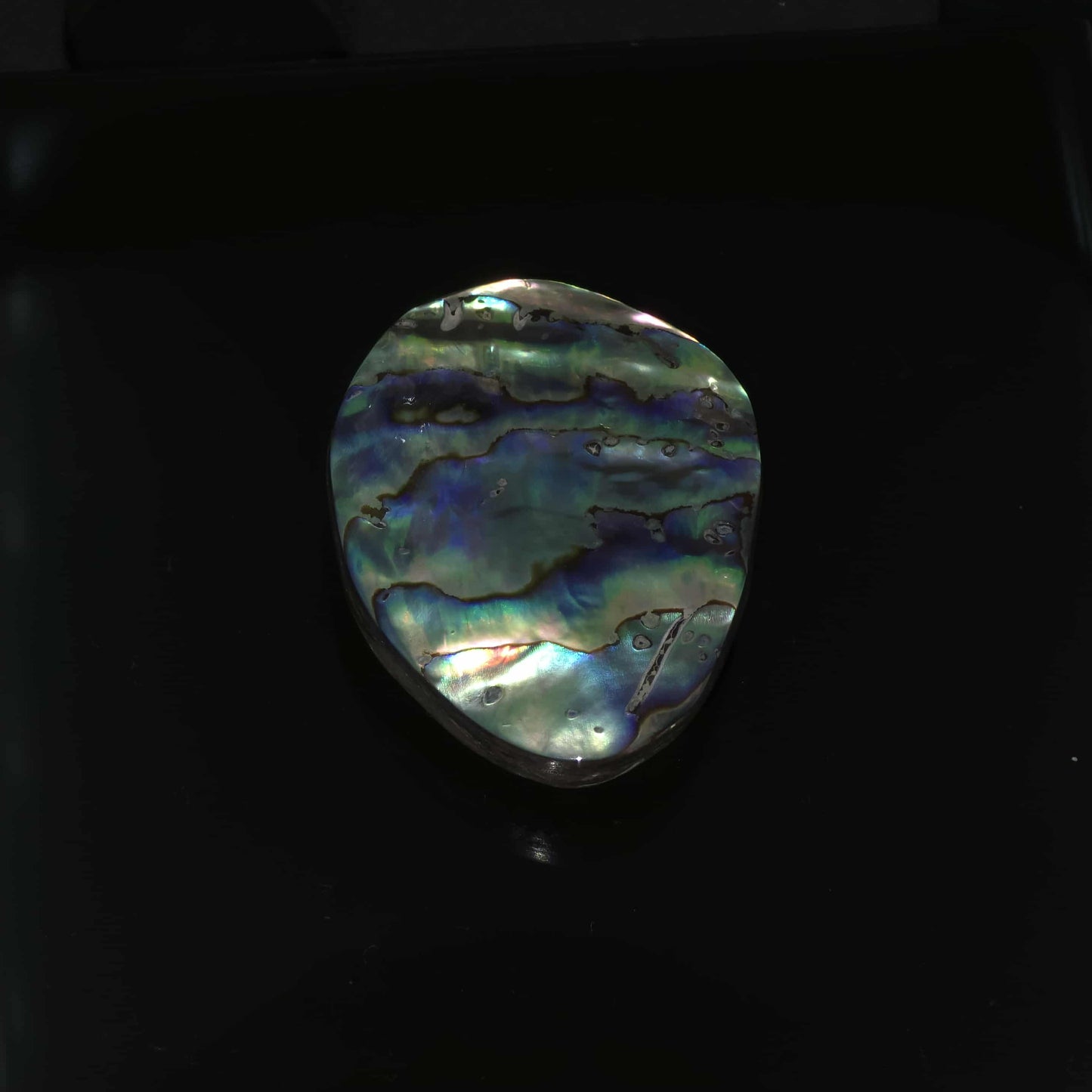 Wild Pāua Pearl Mabē