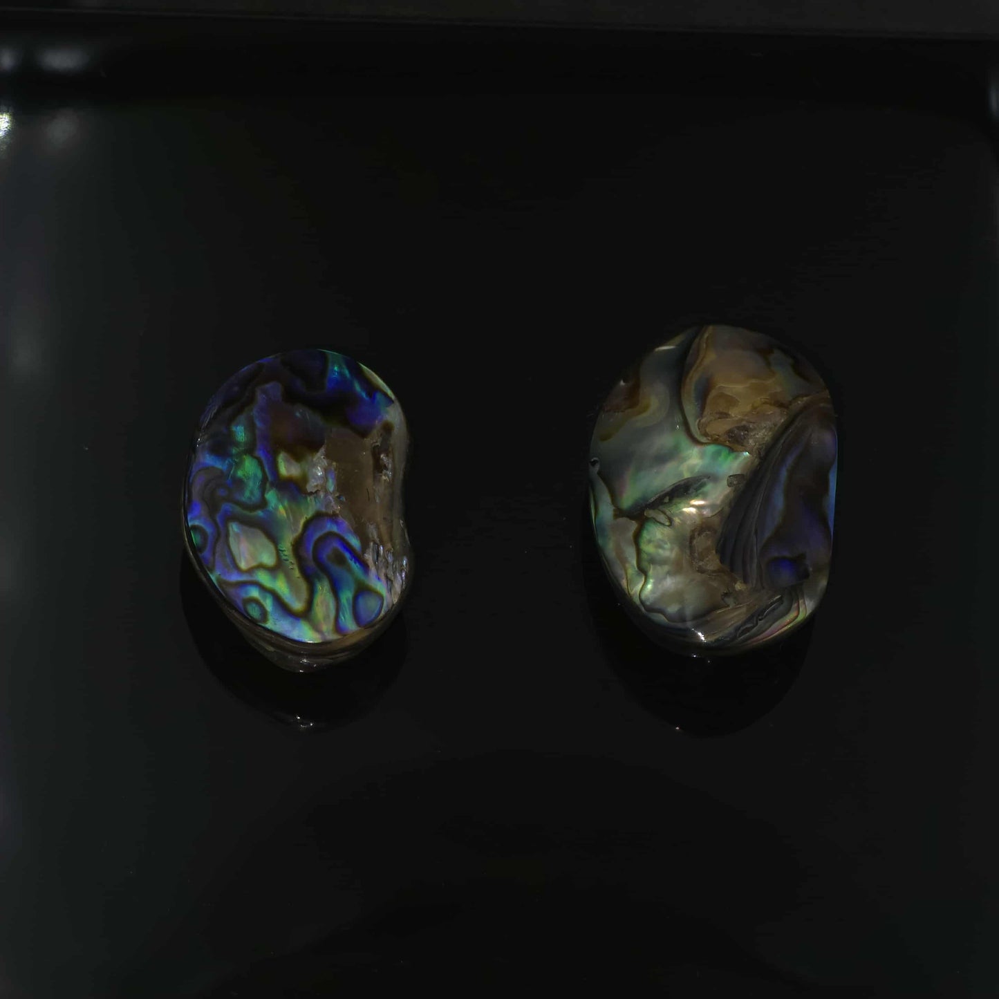 Wild Pāua Pearl Mabē